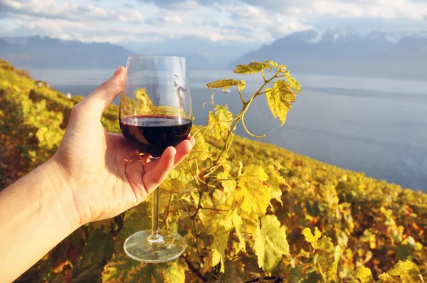 Винное стекло в руке против виноградников в регионе Лаво, Switze — стоковое фото