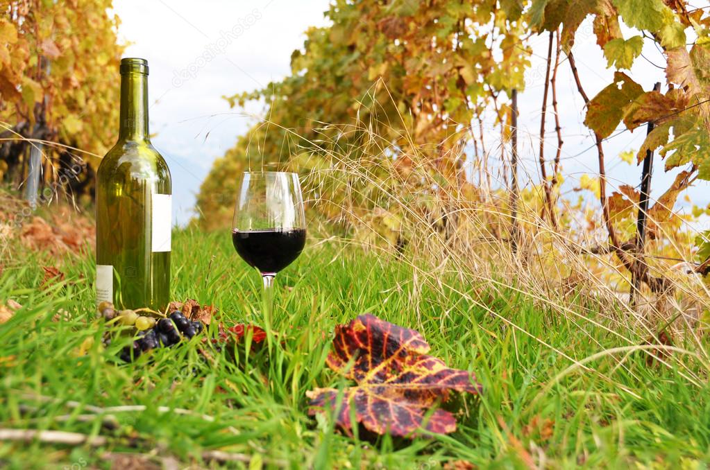 Bottle and wineglass among vineyards in Lavaux region, Switzerla