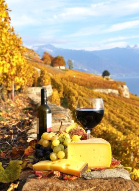 kırmızı şarap, üzüm ve chesse lavaux Teras bağ üzerinde