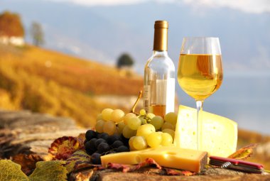 kadeh beyaz şarap ve chesse lavaux Teras bağ üzerinde