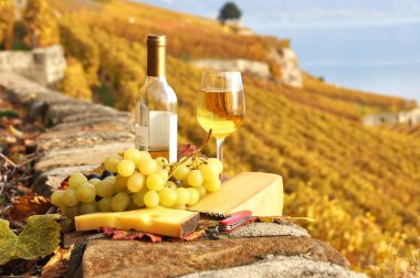 beyaz şarap ve üzüm lavaux regio bağ Teras