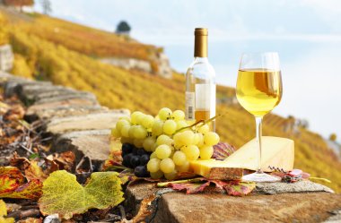 White wine, cheese and grapes on the terrace of vineyard in Lava clipart