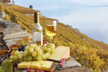 bardağı ve Teras bağ lavaux bölgesinde bir şişe,