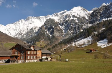 Karaağaç, İsviçre