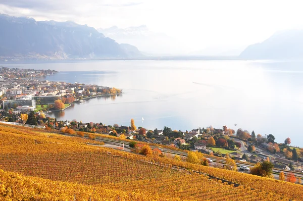 Região de Lavaux, Suíça — Fotografia de Stock