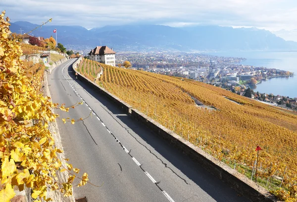 Straße durch die Weinberge in der Region Lavaux, Schweiz — Stockfoto