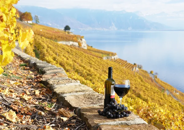 Vinglas och en flaska på vingården terrass i lavaux region, — Stockfoto