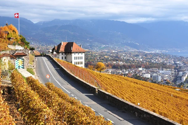 Weg door de wijnbergen in lavaux-gebied, Zwitserland — Stockfoto