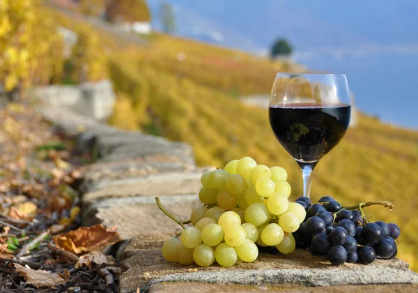 红酒和平台上的熔丝地区葡萄园的葡萄, — 图库照片