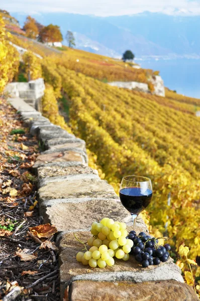 Bicchiere da vino sulla terrazza vigneto nella regione di Lavaux, Svizzera — Foto Stock