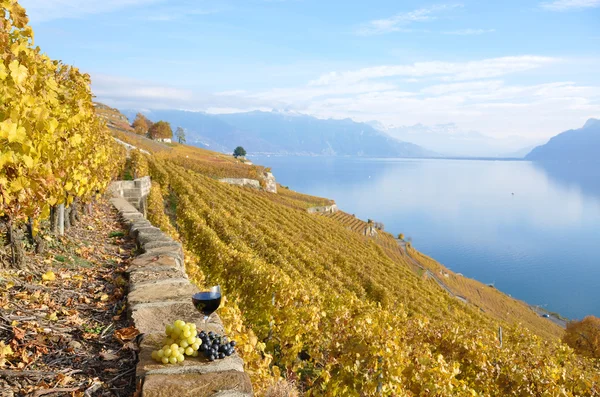 Glas rött vin och druvor på vingården terrass i lavaux r — Stockfoto