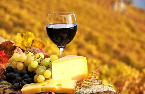 Rode wijn, druiven en fakkeloptocht op de wijngaard met terras in lavaux re — Stockfoto