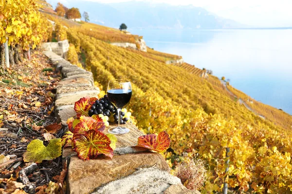 Bicchiere di vino rosso sul vigneto terrazza nella regione Lavaux, Swit — Foto Stock