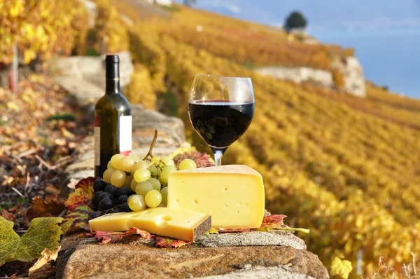 Vörös bor és a szőlő, a teraszon régióban lavaux szőlőskert, — Stock Fotó