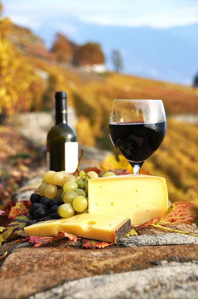 Wine, grapes and cheese against vineyards in Lavaux region, Swit — Stock Photo, Image