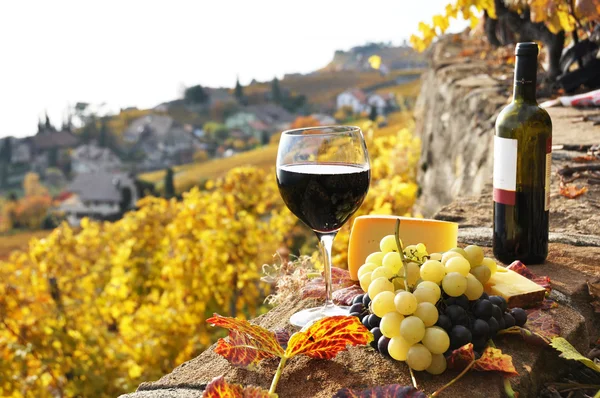 Vinho tinto e uvas no terraço da vinha na região de Lavaux , — Fotografia de Stock