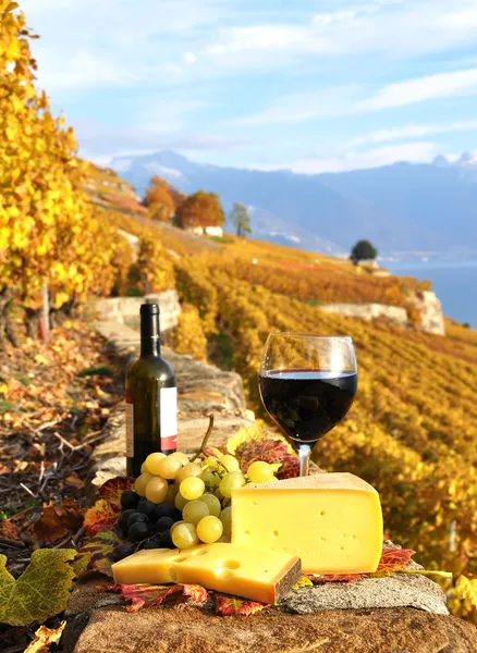 Vino tinto, uvas y chesse en el viñedo terraza en Lavaux re —  Fotos de Stock