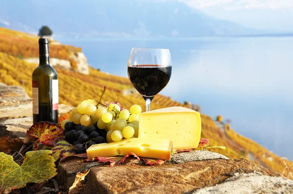 Rött vin, druvor och ost på terrassen i vingården i lavaux — Stockfoto