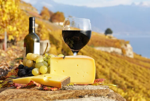 Red wine, cheese and grapes on the terrace of vineyard in Lavaux — Stock Photo, Image