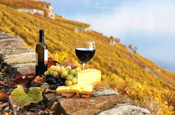 Κόκκινο κρασί, σταφύλια και τυριά με το αμπέλι βεράντα σε lavaux εκ νέου — Φωτογραφία Αρχείου