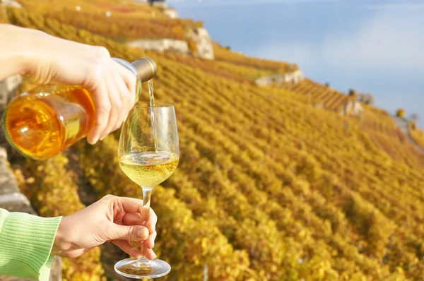 Opvullen van een wijnglas tegen wijnbergen in lavaux-gebied, switz — Stockfoto