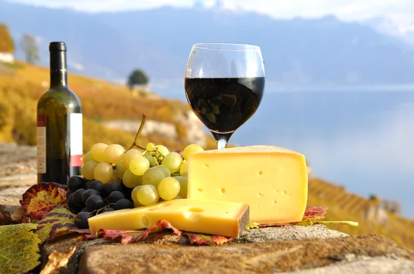 Rode wijn, druiven en kaas op het terras van de wijngaard in lavaux — Stockfoto