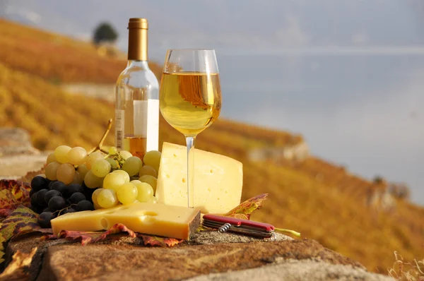 Wijnglas en een fles op de wijngaard met terras in lavaux-gebied, — Stockfoto