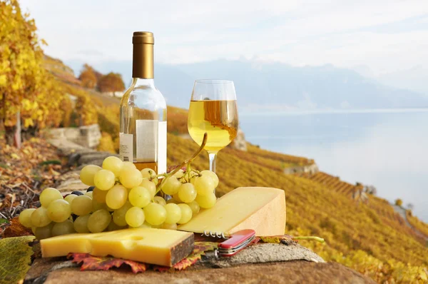 Witte wijn, kaas en druiven op het terras van de wijngaard in lava — Stockfoto