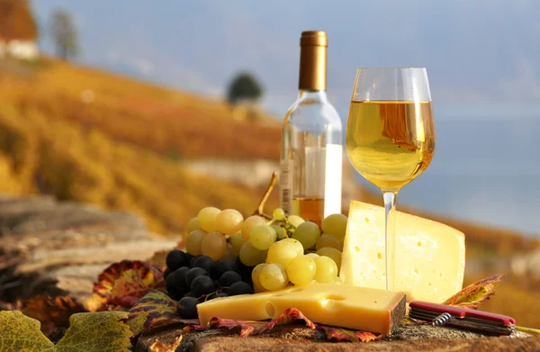 Bicchiere di vino e una bottiglia sul vigneto terrazza nella regione di Lavaux , — Foto Stock
