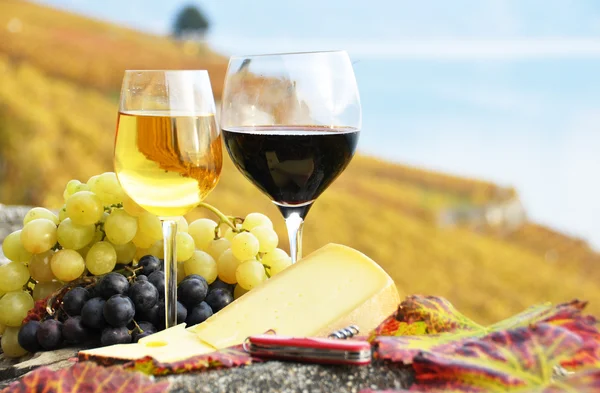 Due bicchieri da vino, formaggio e uva sulla terrazza del vigneto in — Foto Stock