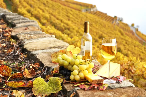 Wineglass and a bottle on the terrace vineyard in Lavaux region, — Stock Photo, Image