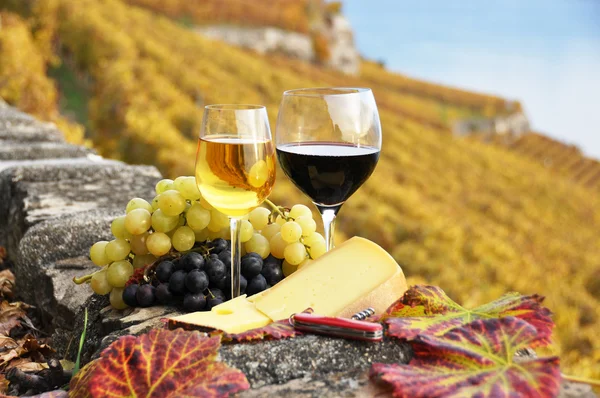 Due bicchieri da vino, formaggio e uva sulla terrazza del vigneto in — Foto Stock