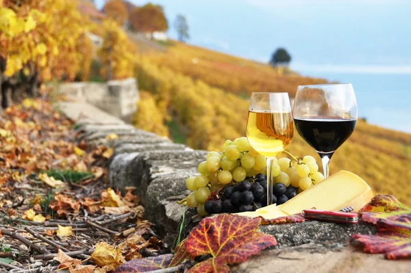 Zwei Weingläser, Käse und Trauben auf der Terasse des Weinbergs in — Stockfoto