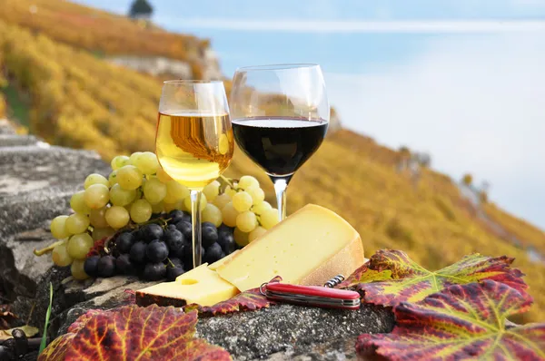 Deux verres à vin, fromage et raisin sur la terrasse du vignoble à — Photo