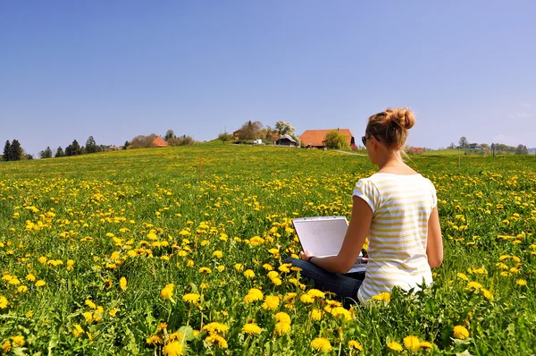 Chica con un portátil en el prado — Foto de Stock