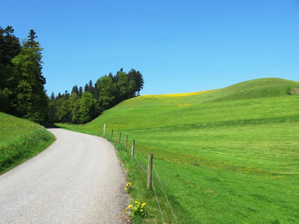 Colline panoramiche nella regione di Emmental, Svizzera — Foto Stock