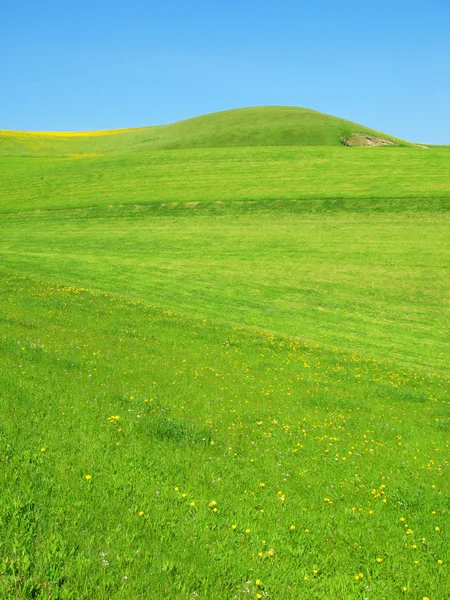 Grüne Hügel — Stockfoto