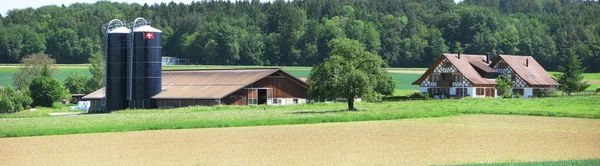 Swiss gård — Stockfoto