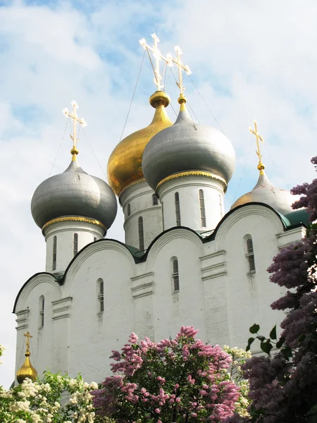 在莫斯科的 novodevichiy 修道院 — 图库照片
