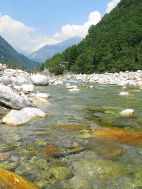 dağ nehir vadisinde verzasca, İsviçre