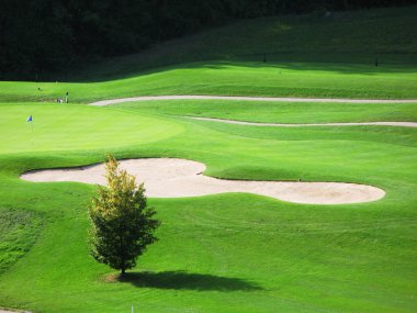 Golf Sahası