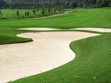 Golf Sahası