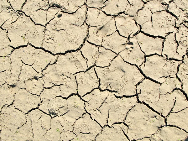 Suché půdy — Stock fotografie