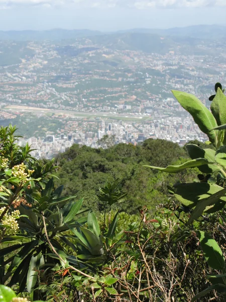 Aerial view of Caracas from Avila national park — Stock Photo, Image