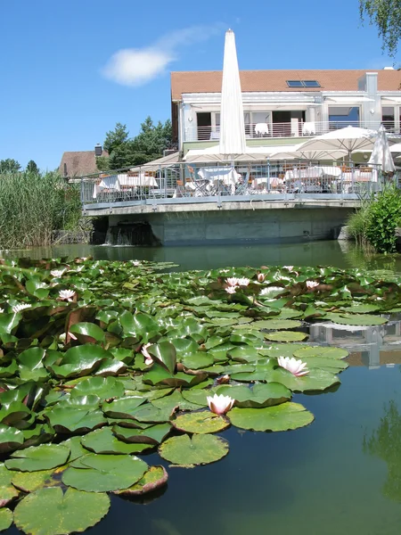 Küçük otel, havuz pfaeffikon, İsviçre — Stok fotoğraf