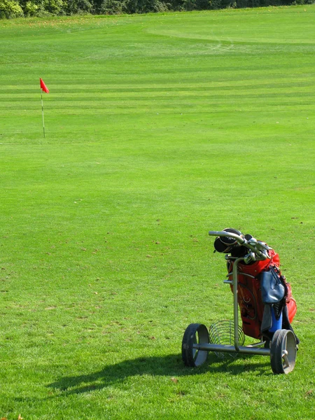 Bolsa de golf en la hierba — Foto de Stock