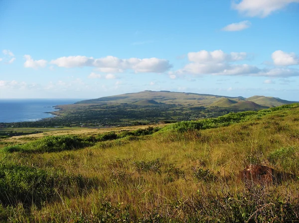 Landscape of Easter Island — Stock Photo, Image