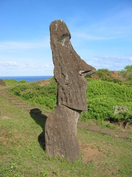 Moai dell'Isola di Pasqua — Foto Stock