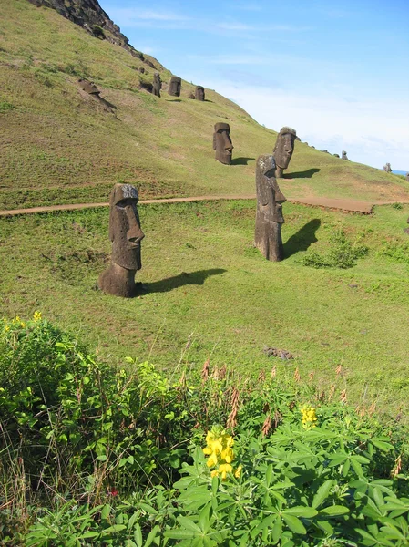 Moais on the slope of Rano Raraku volcano, Easter Island — Stock Photo, Image