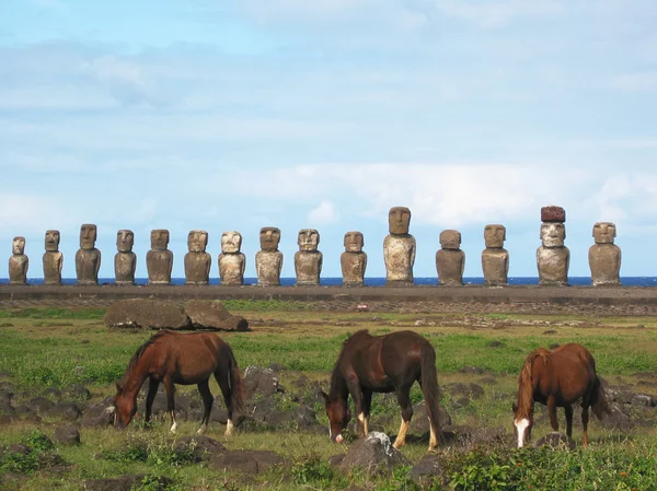 Cavalli selvaggi contro Ahu Tongariki. Isola di Pasqua — Foto Stock